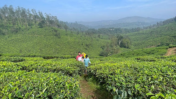 Elephant ride, Spice Park And Jeep Safari
