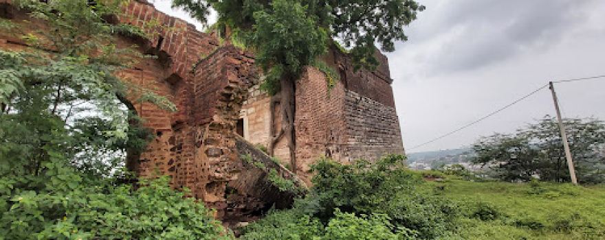 Bagh Fort