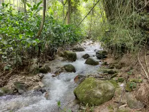Sendero Agua Blanca, Bochalema