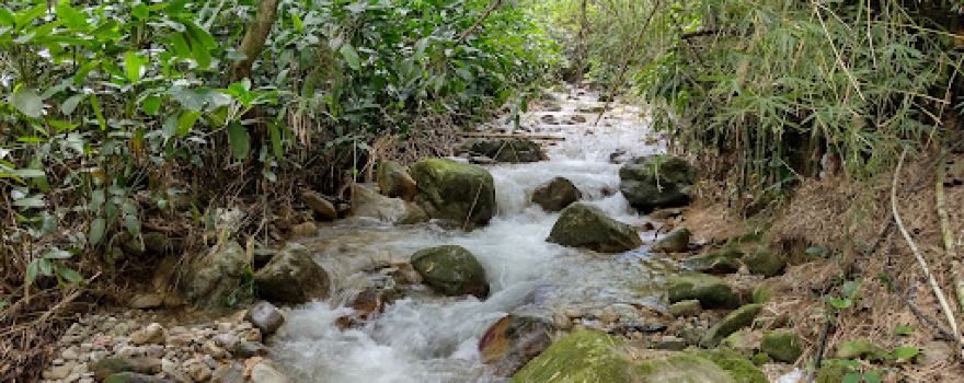 Sendero Agua Blanca, Bochalema
