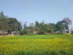 Bhaluani