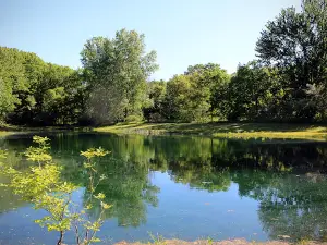Oak Grove Campground
