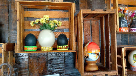 Zoocriadero de aves gigantes