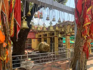 Shri Shri 1008 Siddh Kshetra Amjhara
