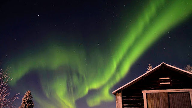 Urskogens Jakt, Fiske & Äventyr