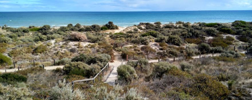 Tennyson Dunes