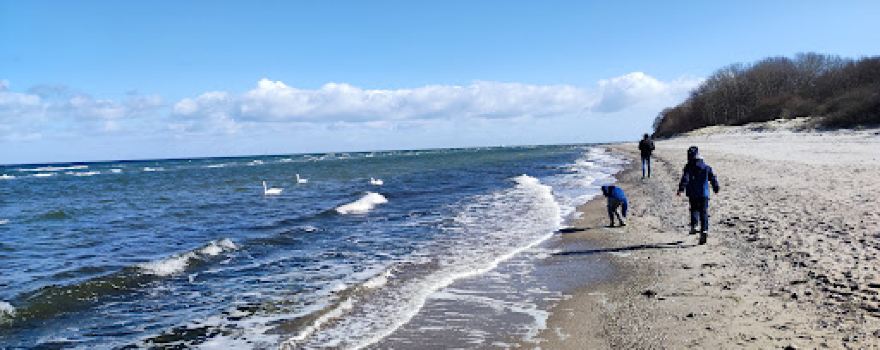 Naturstrand Gross Schwansee bei Kalkhorst