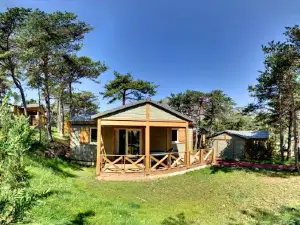 Camping la Viste