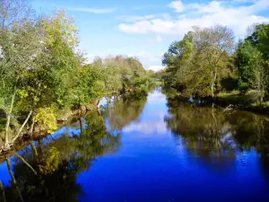 Camping Les Rives de Grand Lieu