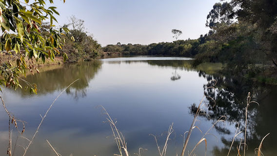 Horto Florestal Municipal