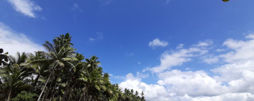 White Sand Beach