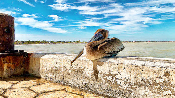 Muelle de Pescadores Progreso