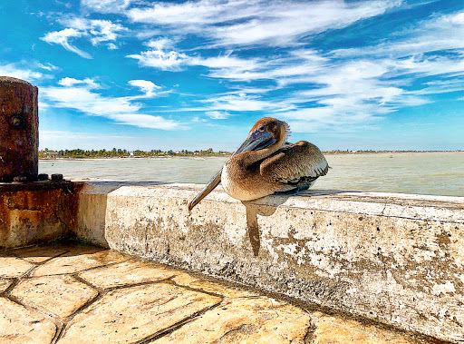 Muelle de Pescadores Progreso