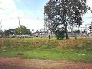 Los Tajibos