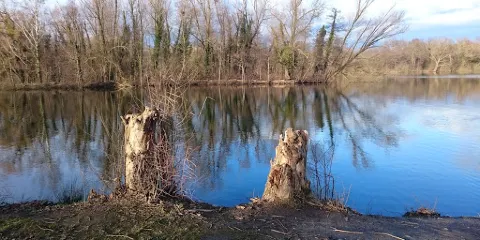 VfR 1926 Sondernheim