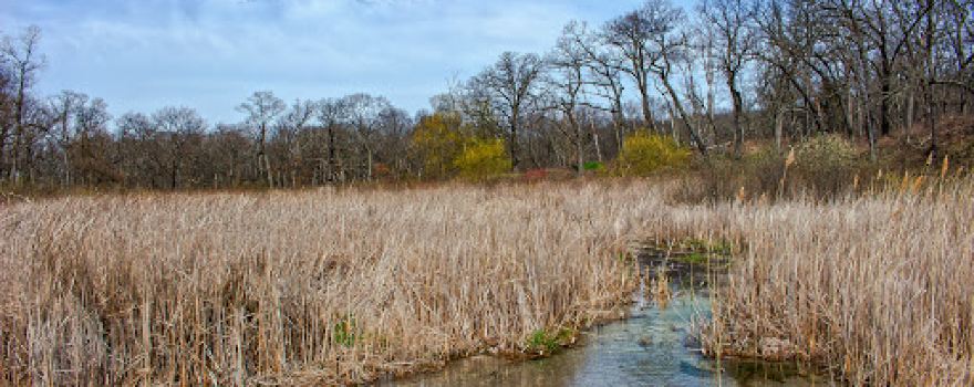 Scuppernong Springs Nature Trail