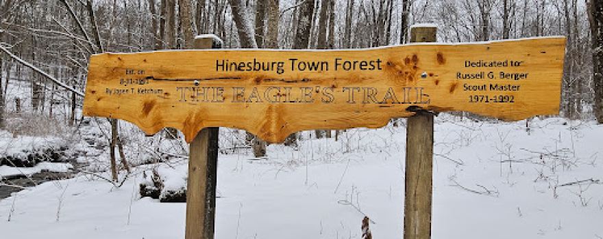 Hinesburg Town Forest