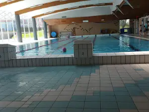 Capuchins' Swimming Pool