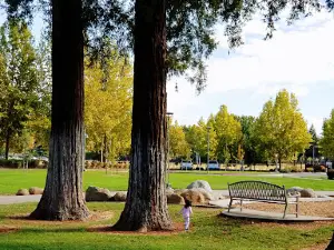 Gauche Aquatic Park
