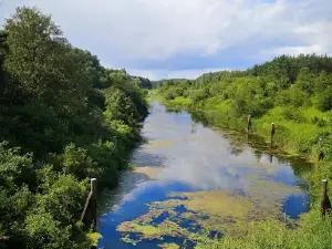 Mazurska Chatka i Pole namiotowe