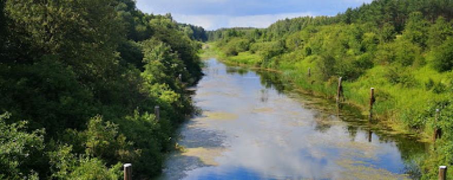 Mazurska Chatka i Pole namiotowe
