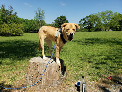 Phillips Memorial Park
