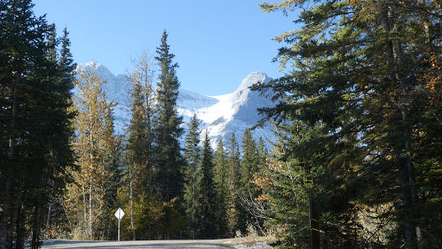 Wapiti Campground (Canmore)