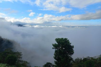 Da Camel Peak, Coffee and Resto Bar, Mabinay Mountain View