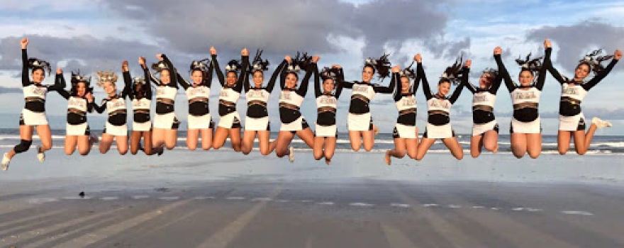 IDOL Cheer
