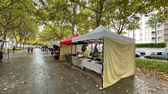 Plaza Rosa Dels Vents