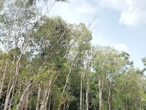 Danum Bahandang
