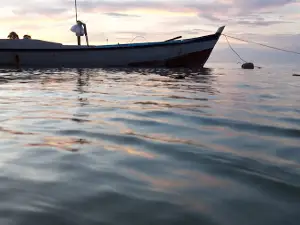 Tanjung Tuing