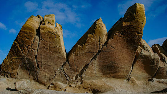 Yanardag