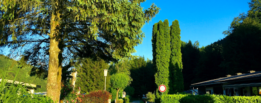 Nibelungen Camping Mitter - Dauercamping