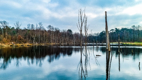 Вайнахтсзее