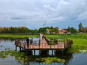Wooden bridge Abkenar