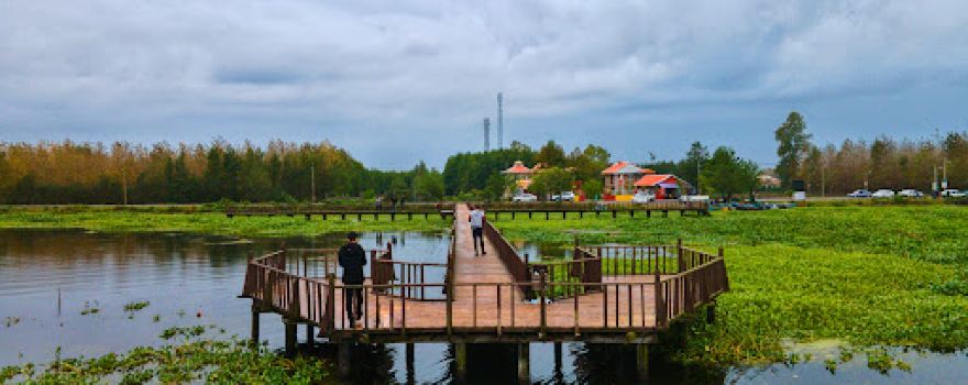 Wooden bridge Abkenar