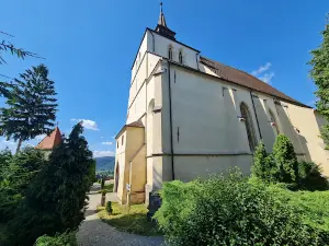 Biserica din Deal (Sf. Nicolae)