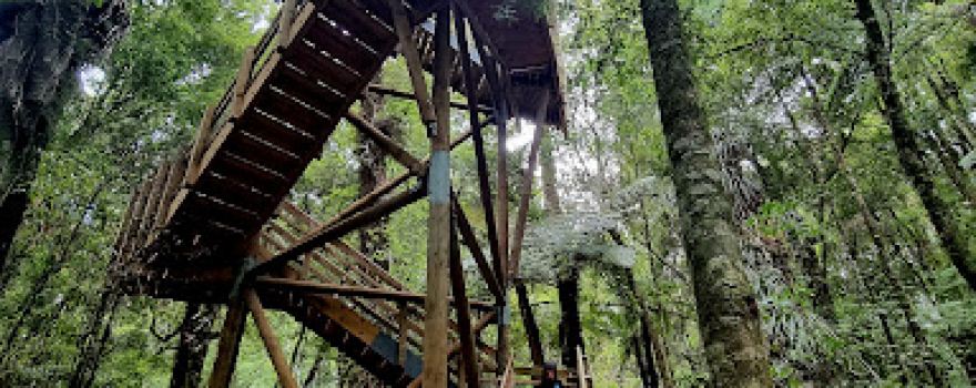 Watchtower
