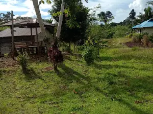 Panta Kapal