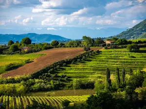 Parco Regionale dei Colli Euganei