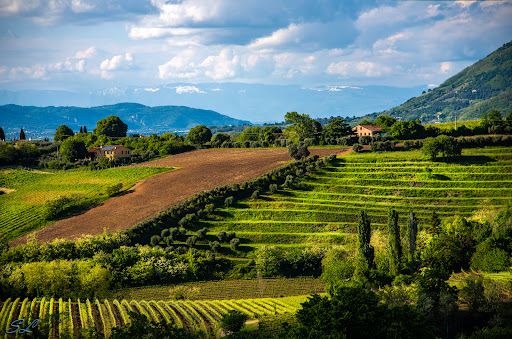Parco Regionale dei Colli Euganei