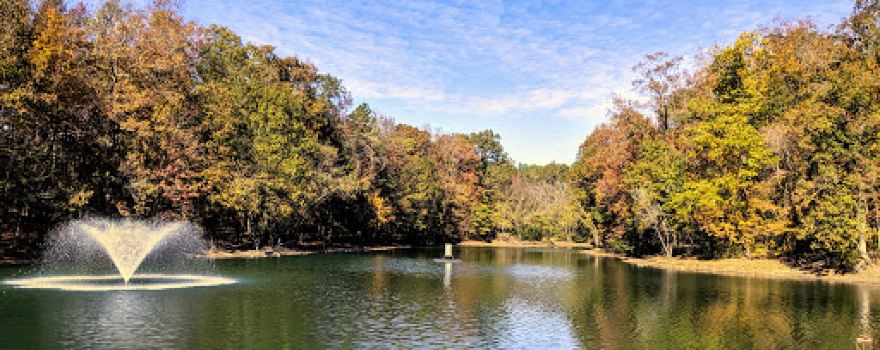 Henry Anderson III Community Park