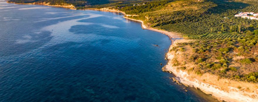 Apollon Plaji