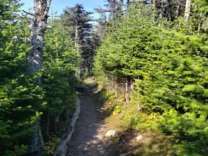 East Coast Trail