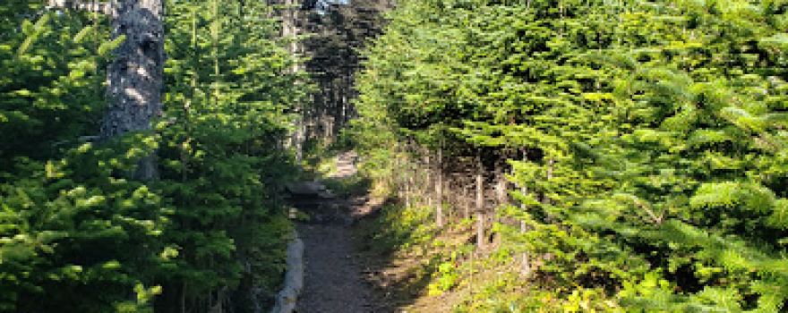 East Coast Trail
