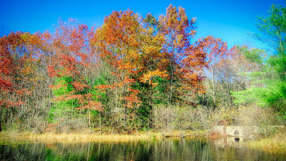 West Rock State Park - Lake Wintergreen Parking Area