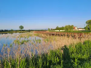 Ecocentru Magia Someșului