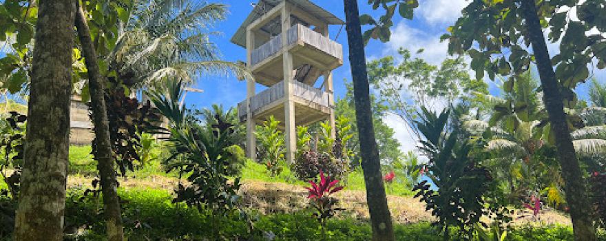 Trip's Alta Vista Observation Tower