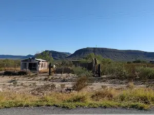 Árbol Bendito del Pirulito